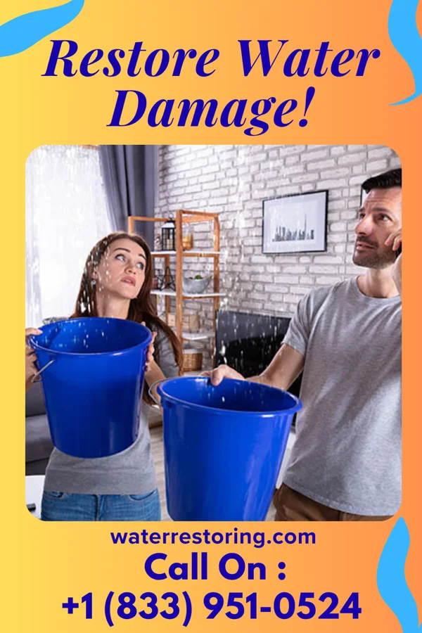 water restoration Trusted Damage Recovery Force Hazel Green