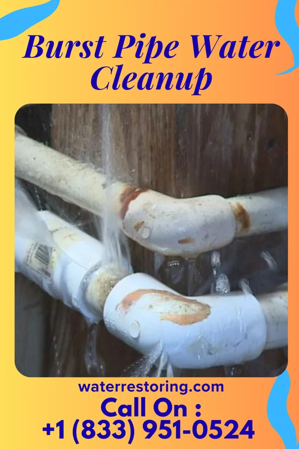 Burst Pipe Water Cleanup in Hazel Green, WI