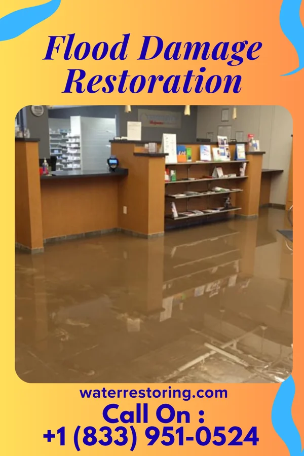 Flood Damage Restoration in Hazel Green, WI