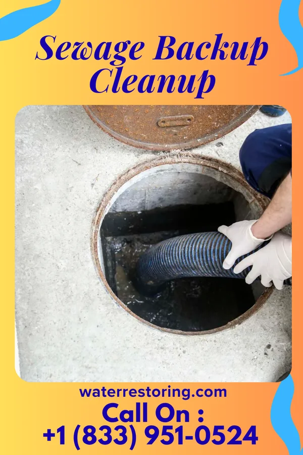 Sewage Backup Cleanup in Hazel Green, WI